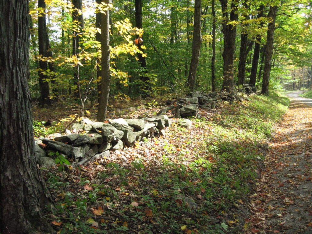 old, crumbling stone wall on the Museum property. Wall runs from lower left edge to the upper right. Art School road is visible running vertically at the right